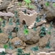 thumbnail image 3 of 260pcs Mundial con Battlefield Accs Army Soldiers en 4 ,, 3 of 8