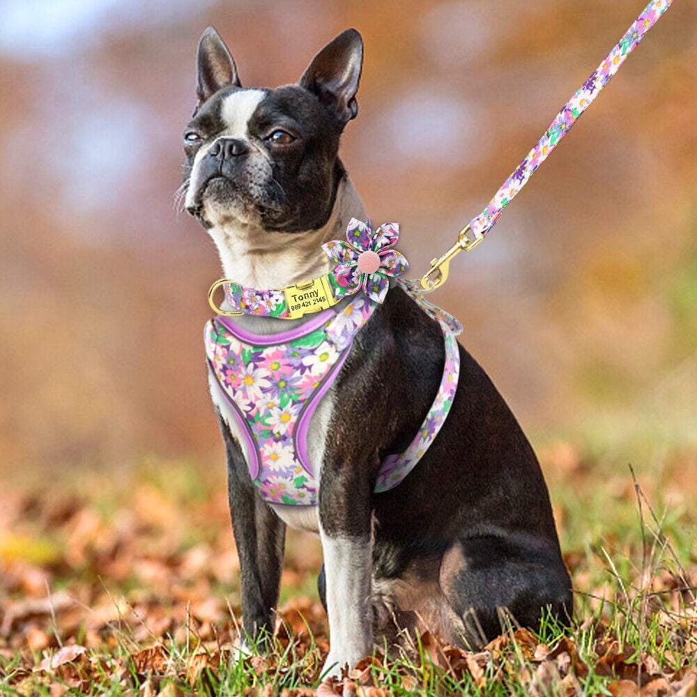 Didog 3pcs Personalized Dog Collar & Walking Leash & Soft Mesh Vest Harness Nylon S-L