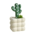 thumbnail image 2 of Adornos De Cerámica Cactus artificial en maceta, planta suculenta falsa para decoración de escritorio de oficina en casa, cuenco de burbujas cuadrado (blanco, 1 unidad) JASKFLY, 2 of 9