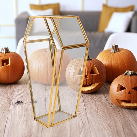 WRITWAA Coffin Shaped Glass Box Transparent Jewelry Storage for Home Decor Unique Design