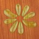 thumbnail image 4 of 8 piezas Groove Guzheng Finger Picks Uñas para niños Niños Pequeños Verde, 4 of 9