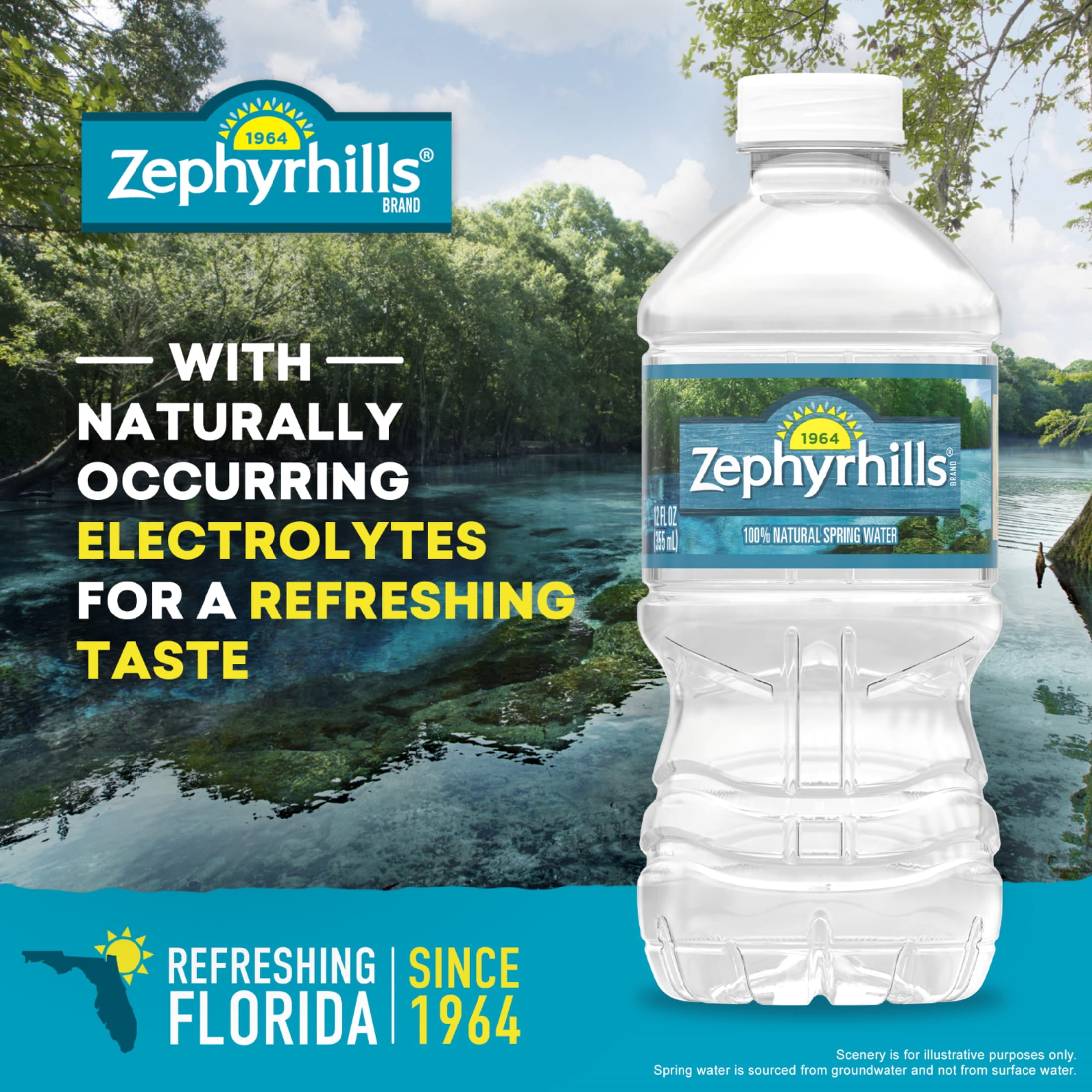 (2 pack) Zephyrhills Florida Spring Water, 12 fl oz, 12-pack Plastic Bottles