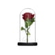 thumbnail image 1 of Cateissary El aromaterapia de la flor eterna de Rose llevó la decoración con pilas de la bóveda de cristal de Rose Kits de decoración para fiestas rojo Cateissary HA024896-01, 1 of 5