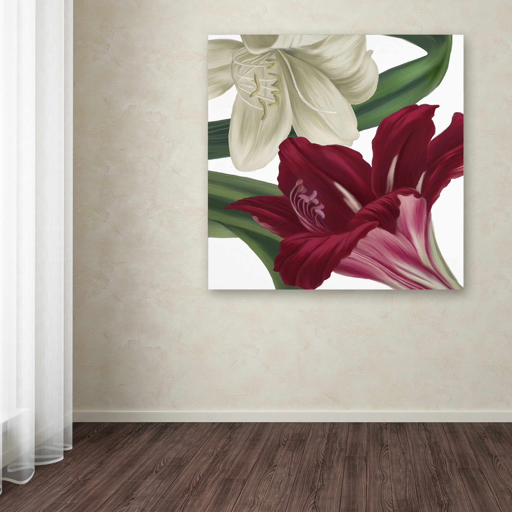 Trademark Fine Art 24 x 24 Canvas Art ' Christmas Amaryllis II ' by Color Bakery
