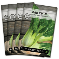 White Stem Pak Choi Seeds - Non GMO Heirloom Varieties for your Home Vegetable Garden - 4 Pack