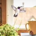 thumbnail image 3 of Rufous Hummingbird Set WIRESTER Decal Vinyl Wall Stickers Decoration for Boys Girls Kids Room Bedroom Home Office Living Room Wall Bathroom (12 x 6 inches), 3 of 8