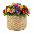 thumbnail image 2 of Urban Terracotta Round Pot with Thick Basket Weave Design Body Washed Finish Amber, 2 of 5
