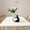 White2, variant on AURIGATE Non Fragile Heart Shaped Plastic Vase, Decorative Art Tabletop Decoration, Nordic Modern Boho ins Style Decorative Ceramic Aesthetic Flower Vase for Your Bedroom, Office, Living Room