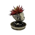 thumbnail image 3 of Halloween24x7 220-White Creepy Baby Doll Head Planter with Saucer, Distressed White, 3 of 9
