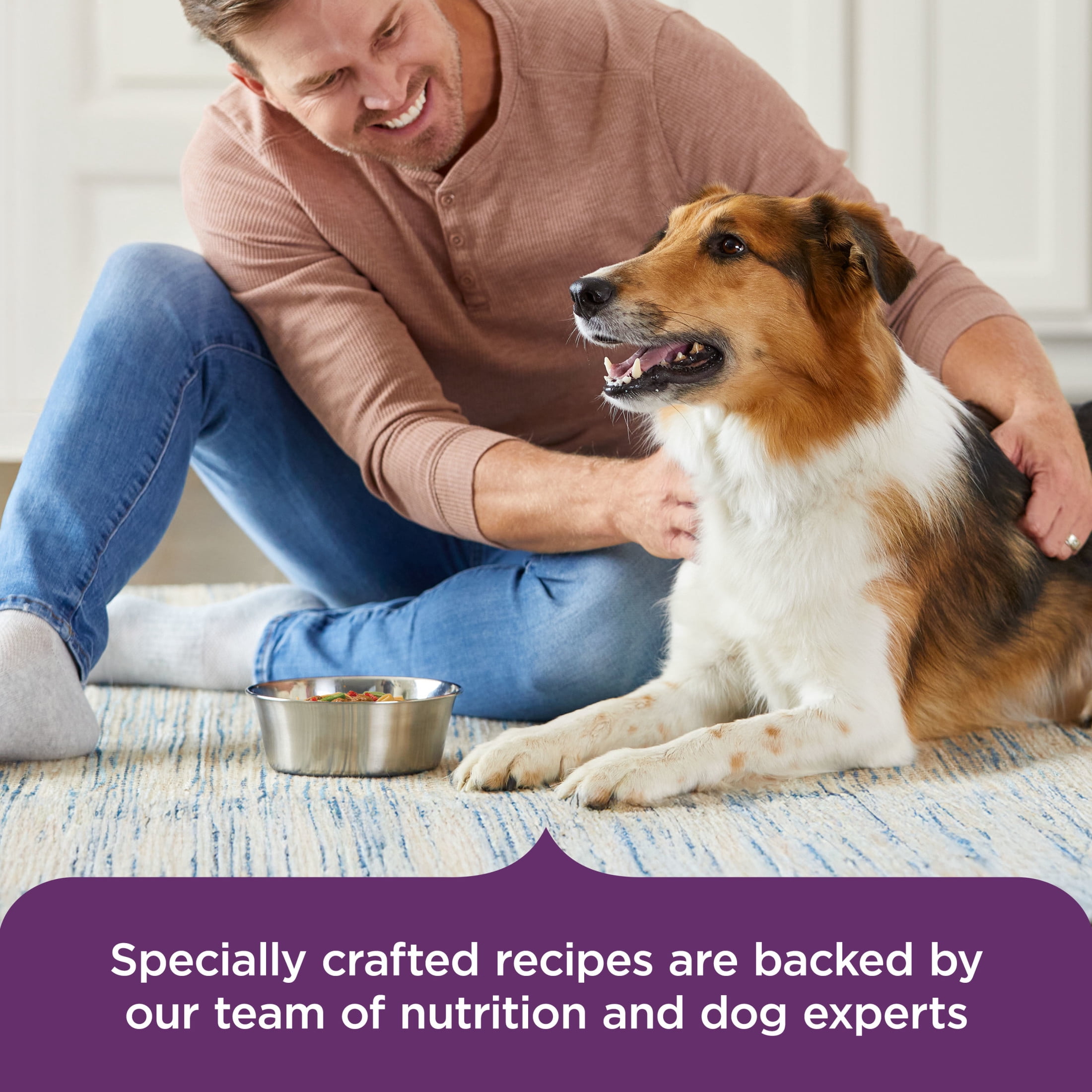 (12 pack) Rachael Ray Nutrish Hearty Recipes Wet Dog Food Variety Pack, 8 oz. Tubs, Pack of 6