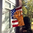 thumbnail image 2 of Carolines Treasures CK6676CHF Rhodesian Ridgeback Dog American Canvas House Flag - 28 x 0.01 x 40 in., 2 of 4