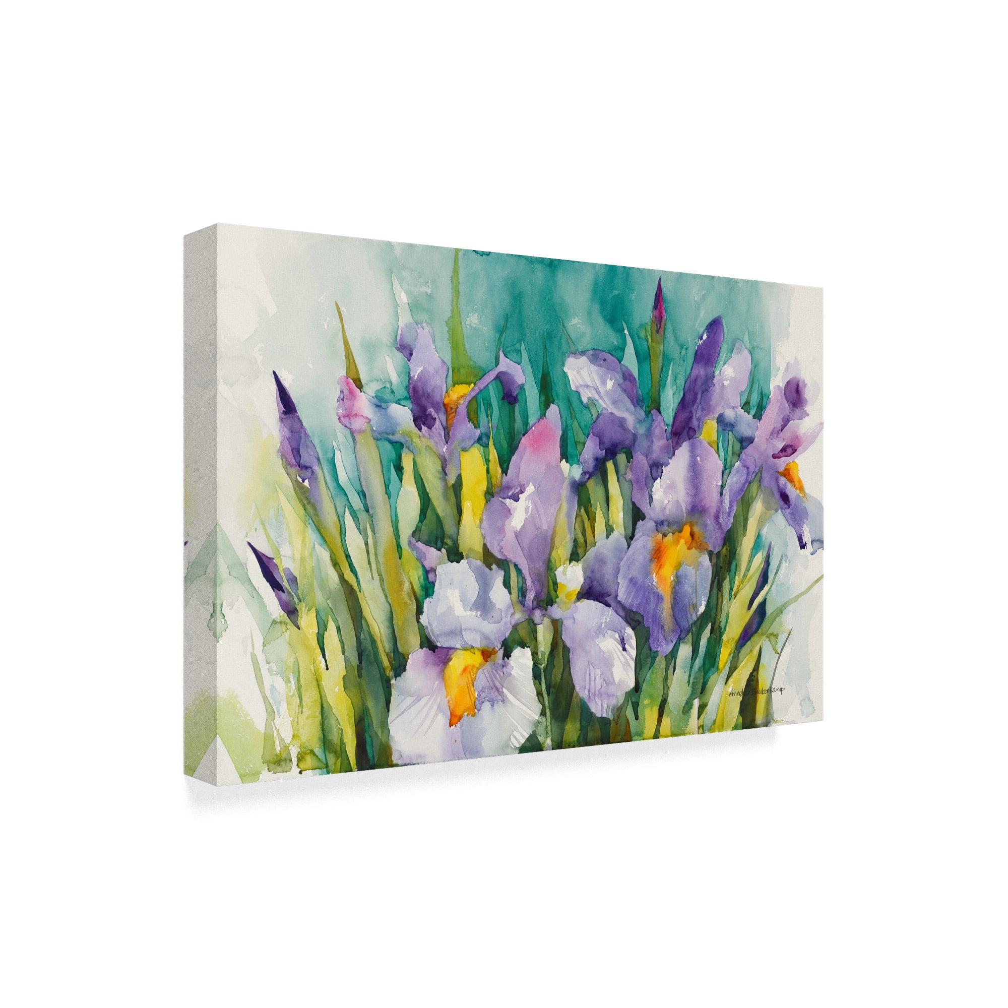 Trademark Fine Art 'Purple Irises' Canvas Art by Annelein Beukenkamp