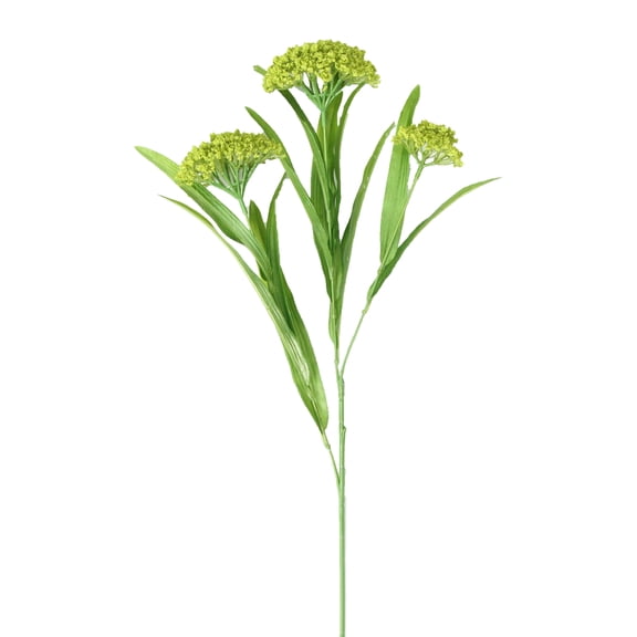 12 Pack: Green Queen Anne's Lace Spray by Ashland