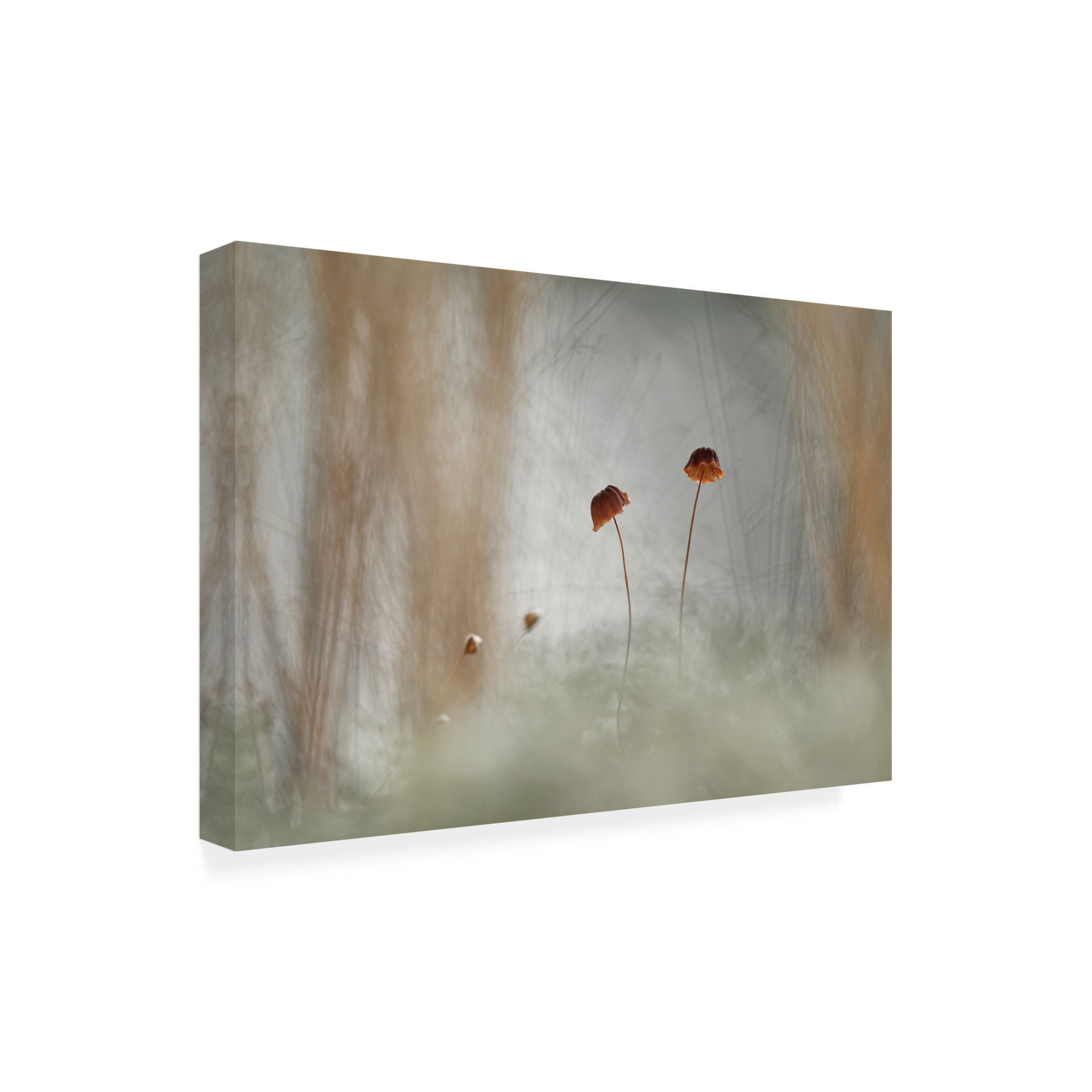 Trademark Fine Art Abdul Gapur Dayak Two and Two Canvas Wall Art