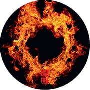 Fire (40Th Anniversary Edition/Picture Disc) & Joshua Tree [LP Vinyl Bundle]