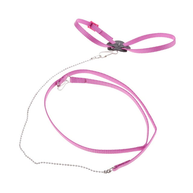 Arnés y correa ajustables para reptiles, aves, loros y cacatúas grises africanas. Rosado