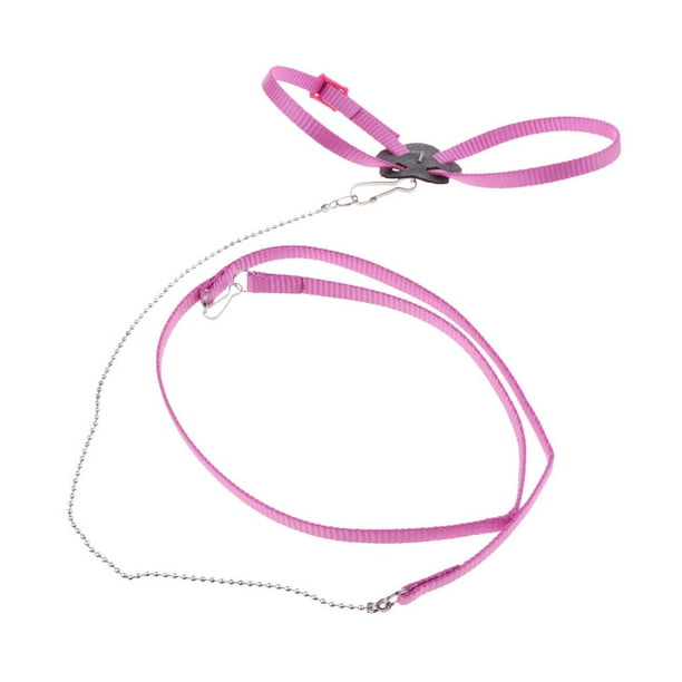 Arnés y correa ajustables para reptiles, aves, loros y cacatúas grises africanas. Rosado