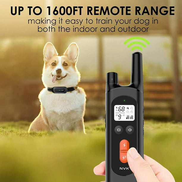 Indoor shock collar for dogs discount