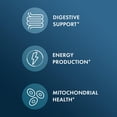 thumbnail image 3 of Dr. Mercola Organic Resistant Starch Complex - Supports Gut & Immune Health - Organic Green Banana, Tigernut Flour & Potato Starch - Gluten-Free & Soy-Free - Unflavored - 9.52 oz (30 Servings), 3 of 6