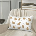 thumbnail image 4 of Plush Throw Pillow Covers, Capybaras White Pillow Cases with Invisible Zipper, Breathable Microfiber Pillow Cases Standard Size for Sleeping Bedroom Sofa Living Room 16x24, 4 of 5