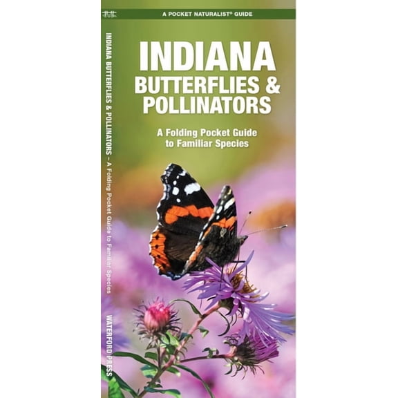 Indiana Butterflies & Pollinators : A Folding Pocket Guide to Familiar Species (Poster)