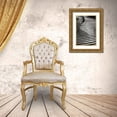 thumbnail image 3 of Hausenflock, Alan 11x14 Gold Ornate Wood Framed with Double Matting Museum Art Print Titled - Dunes Fence V, 3 of 4
