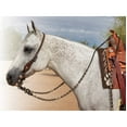thumbnail image 4 of Professionals Choice Rawhide Romal Rein Natural/Black, 4 of 4