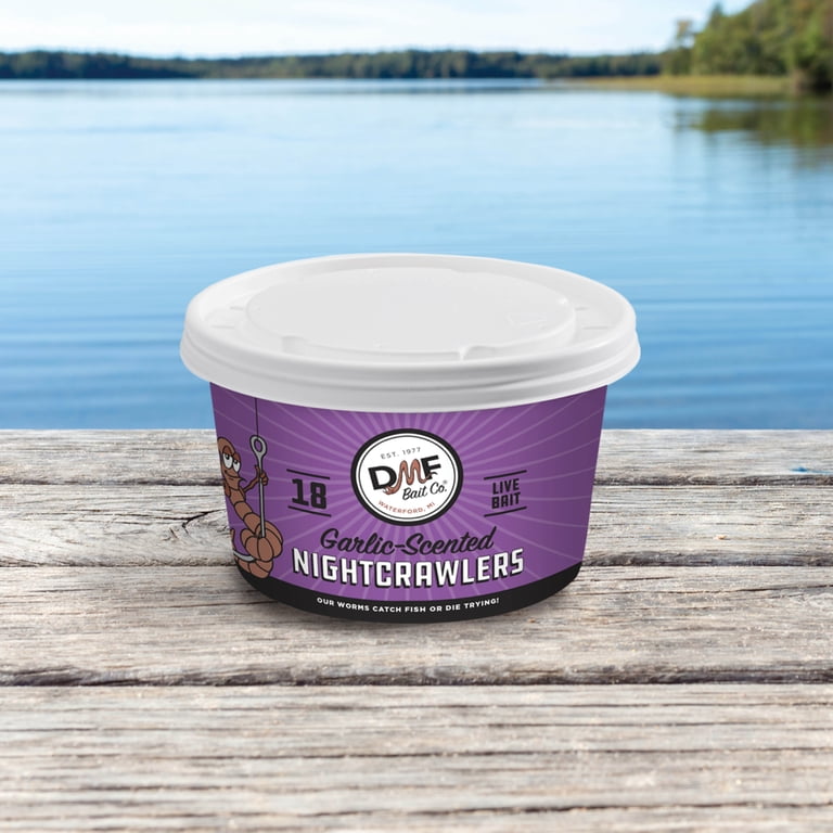 3 pack) DMF Bait Co. 18 Garlic Canadian Nightcrawlers, Fishing