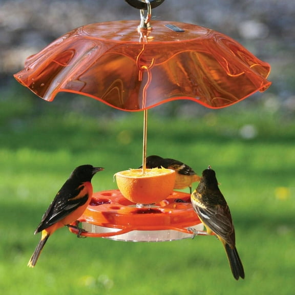 Oriolefest Oriole Bird Feeder with Protective Weatherguard | Hanging Bird Feeder for Jelly, Oranges & Nectar | 4 Feeding Ports & Trays with Ant Moat & Bee Guards | 12 oz, Orange