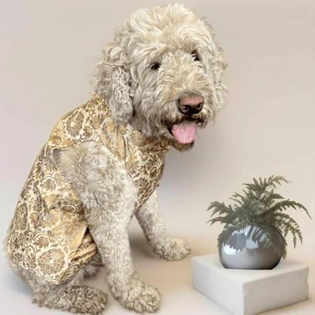 traditional dog sherwanis - perfect for weddings and celebrations, dog clothes, pet cosutme, indian pet clothing, dog jacket | floral mocha sherwani (3xl)
