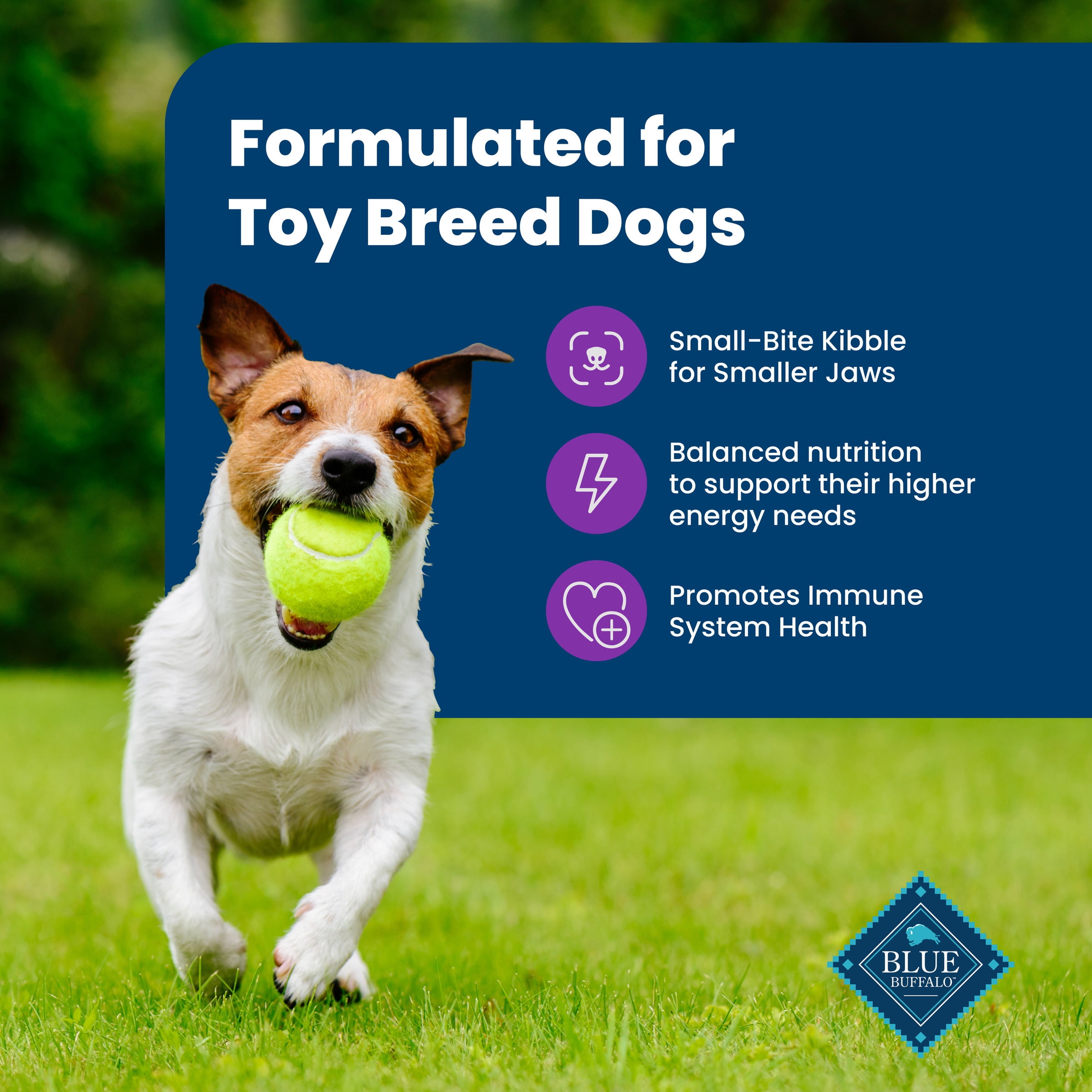 (5 pack) Blue Buffalo Life Protection Formula Toy Breed Dry Dog Food Chicken & Brown Rice 4 lbs.