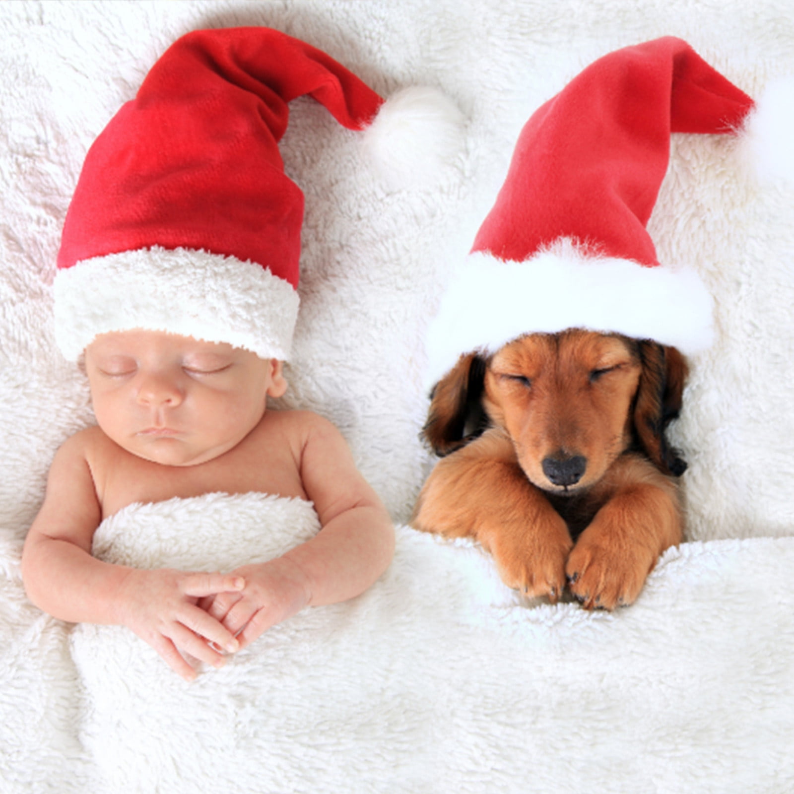Dog santa hat with ear cheap holes