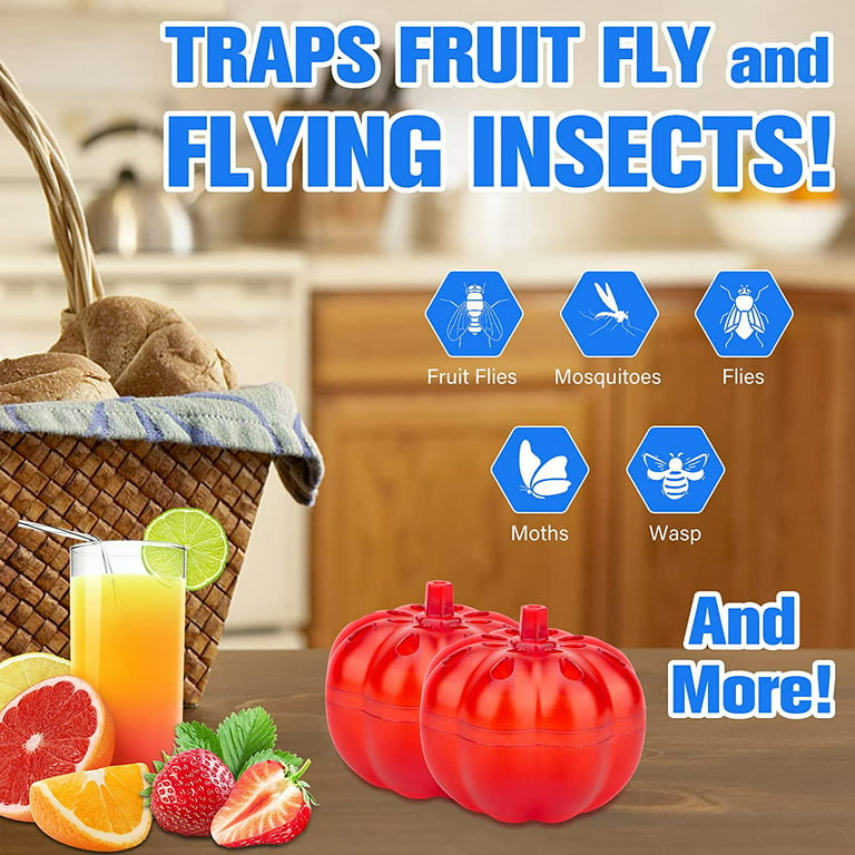 2Pcs Reusable Fruit Fly Traps Indoor Fly Trap for Home Kitchen