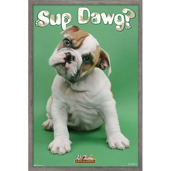 Keith Kimberlin - Sup Dawg Wall Poster, 22.375" x 34", Framed