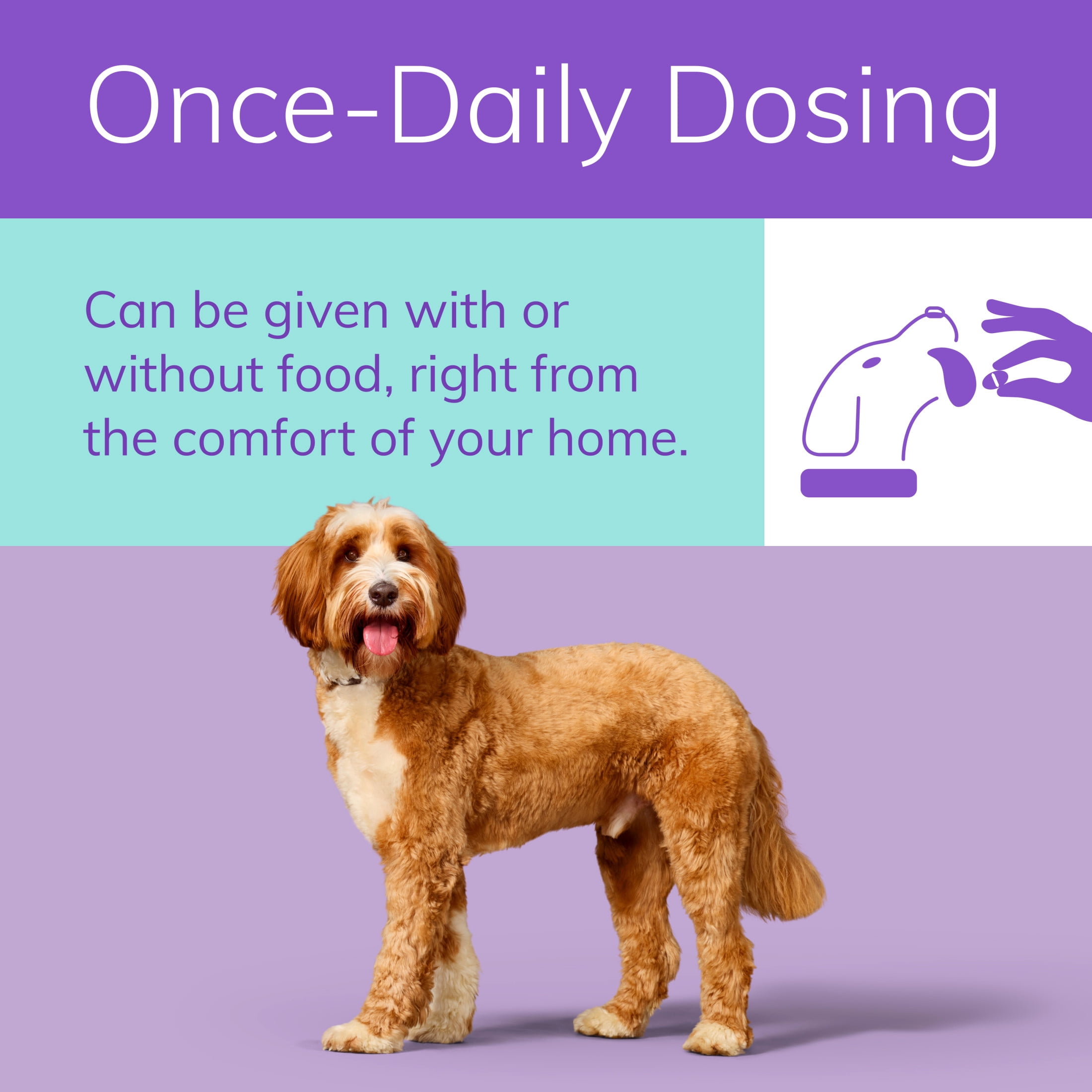 Zenrelia (Ilunocitinib Tablet) Once Daily Prescription Itch Relief for Dogs 8.5 mg