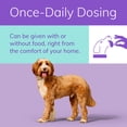 thumbnail image 4 of Zenrelia (Ilunocitinib Tablet) Once Daily Prescription Itch Relief for Dogs 8.5 mg (90 Count), 4 of 11