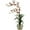 Multi-color, variant on Nearly Natural Dendrobium Artificial Flowers with Glass Vase, White