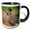 Black/White, variant on 3drose, Texas, Rio Grande Valley, Greater Roadrunner Bird - Us44 Bja0181 - Jaynes Gallery, 11oz Two-tone Red Mug