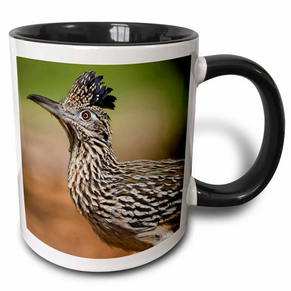 3drose, Texas, Rio Grande Valley, Greater Roadrunner Bird - Us44 Bja0181 - Jaynes Gallery, 15oz Two-tone Black Mug