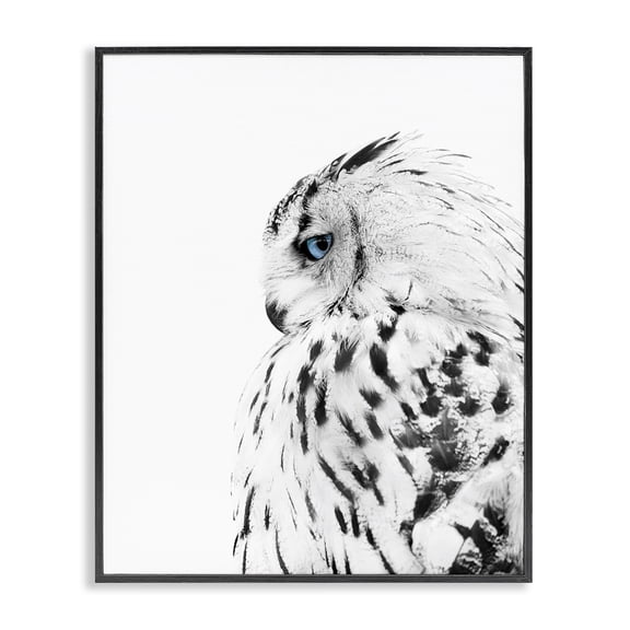 Stupell Industries Farmhouse Snow Owl Peering Blue Eyes Black Framed Giclee Art, 11 x 14, by Design Fabrikken