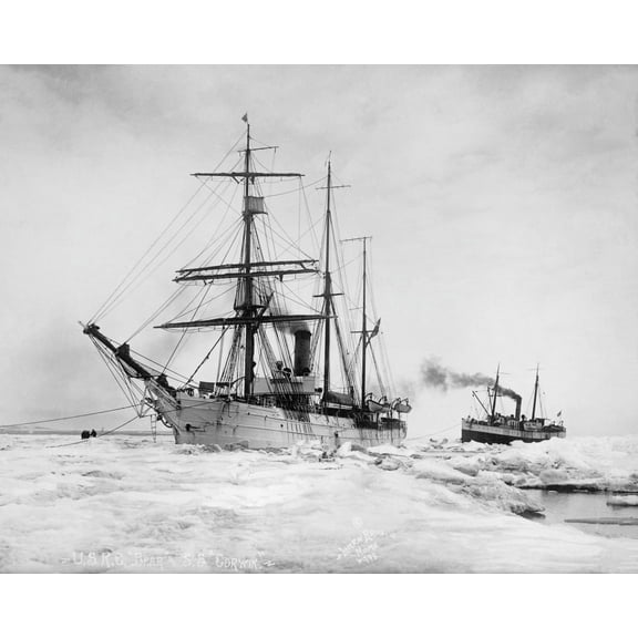 Print: Coast Guard Bureau Of Treasury Department. Revenue Cutter 'bear'