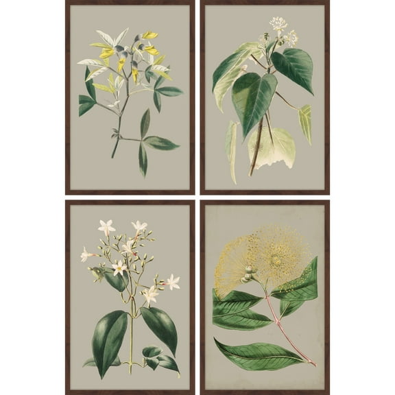 Green Botanicals Quadriptych