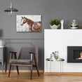 thumbnail image 6 of Epic Art 'Your Horse 2' by Irena Orlov, Acrylic Glass Wall Art, 24"x16", 6 of 9