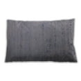 thumbnail image 1 of Ahgly Company Outdoor Rectangular Mid-Century Modern Lumbar Throw Pillow, 13 inch by 19 inch, 1 of 5