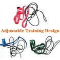 thumbnail image 5 of Parrot Bird Harness Leash Outdoor Flying Traction Straps Band Adjustable Anti-bite Training Rope, 5 of 5