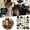 B, variant on Clearance Event & Party under $5,53 Pieces Black Golden Photo Booth Props For Birthday Wedding New Year Mix Of Hats Lipstick Tie Crowns And More Funny Selfie Props