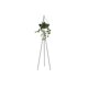 thumbnail image 1 of Macetero Kiuma - Negro Gaia Herbs Contemporaneo, 1 of 5