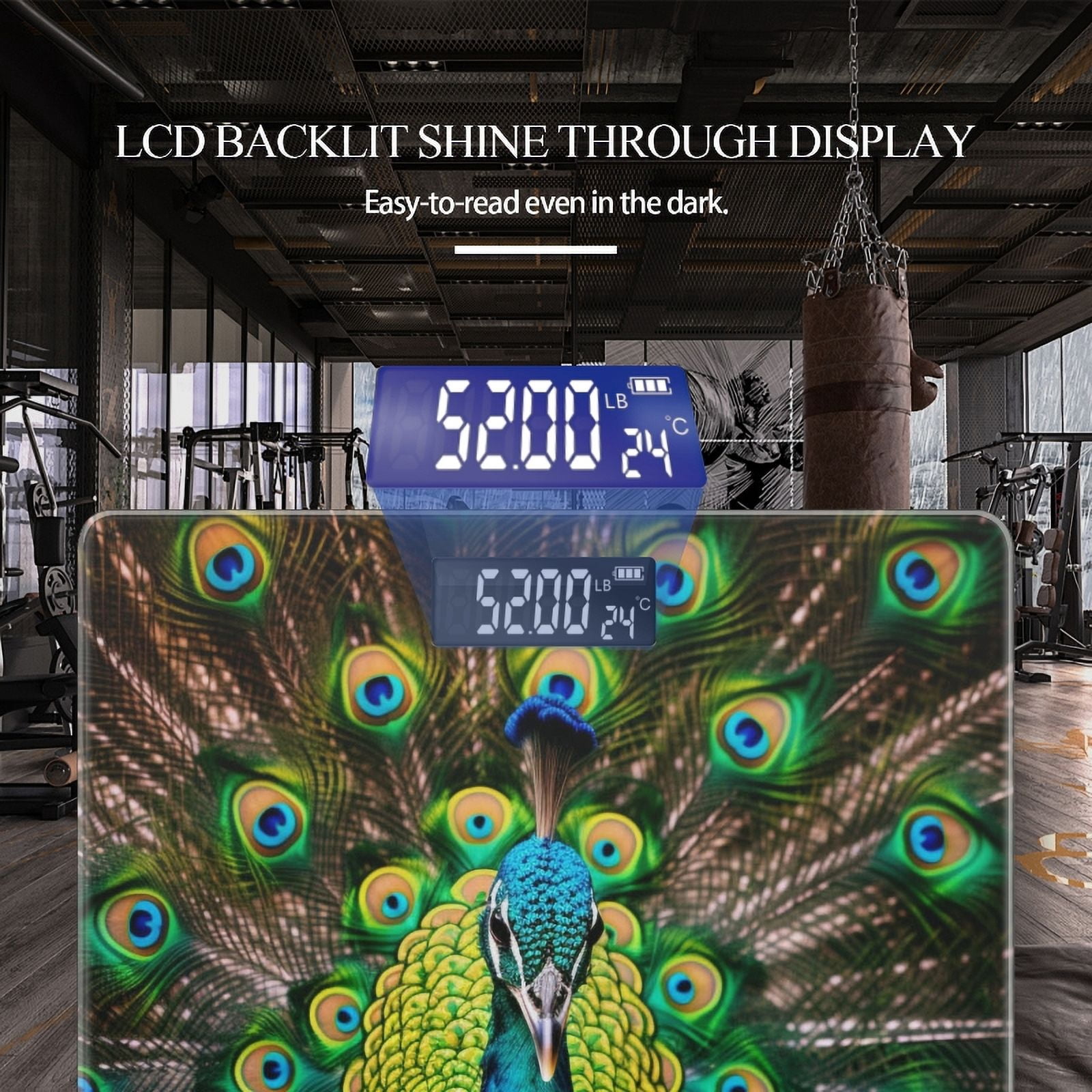 Bathroom Scale, Highly Accurate Digital Body Scale,Precisely Measures Weight up to 400 lbs-Majestic Peacock Displaying Feathers Of Green And Blue Showing