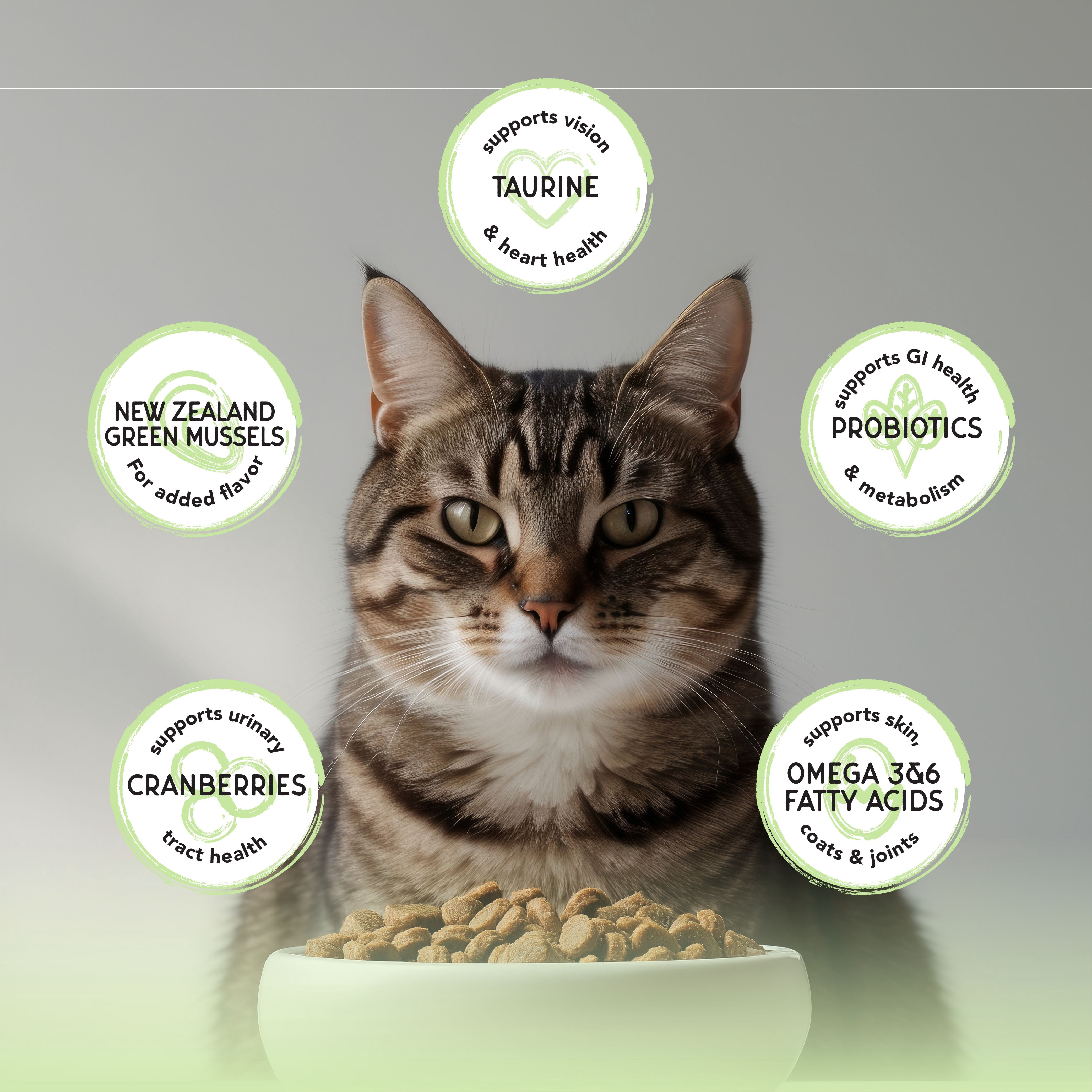 Blackwood Bounty Dry Cat Food Whitefish & Lentils 4.5 lb