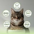 thumbnail image 5 of Blackwood Bounty Dry Cat Food Whitefish & Lentils 4.5 lb, 5 of 8